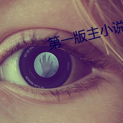 第一版主小说(說)