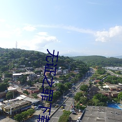 无证(zhèng)之罪下载
