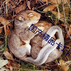 國産精品卡1卡2卡3