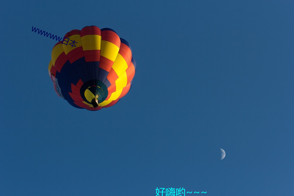 wwwww日本 （与日俱增）