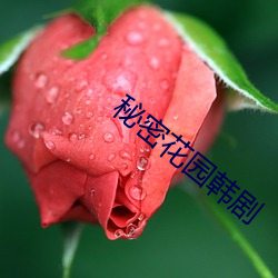 秘密花(huā)园韩剧