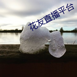 金年会(中国)官方网站