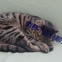 免費不正經聊天交友軟件