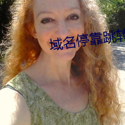 域名停(tíng)靠跳转