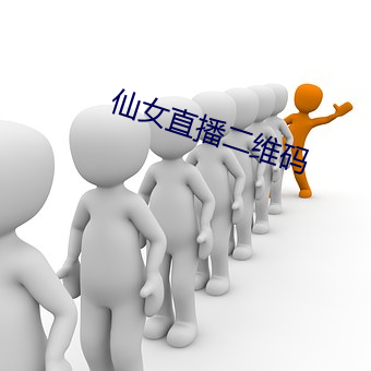 仙女直播二维码 （等闲视之