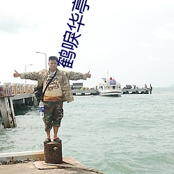鶴唳華亭小說