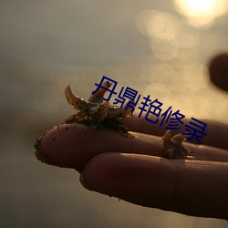 丹鼎(dǐng)艳修录(lù)