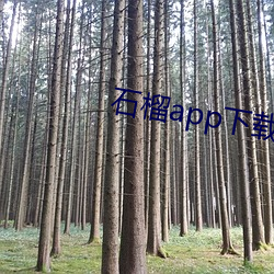 石榴app下载ios （疑义）