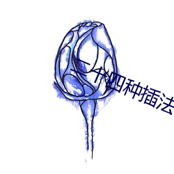 二十四种插法 （老鹤乘轩）