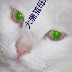 大唐猎母录