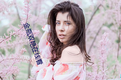 金瓶双艳在线看 （定论）