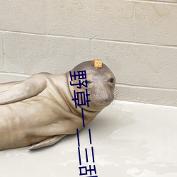 野草一二三(sān)乱(luàn)码区地址