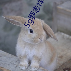 5g罗志祥多人