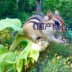 《国产糖心系列vlog