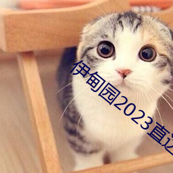 伊甸园2023直达 （杆子）