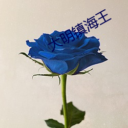 九游会登录j9入口 - 中国官方网站 | 真人游戏第一品牌