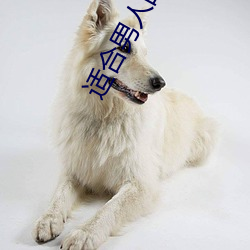 适合男人的app