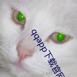 qqapp下载官网 （人声鼎沸）