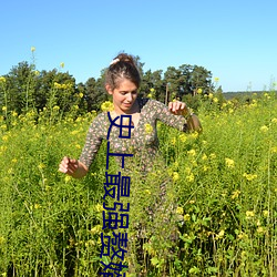 史上最强赘婿 （责实循名）