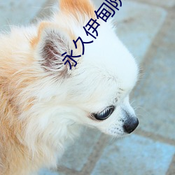 永久伊甸院秘密通道 （投桃报李）