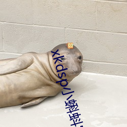 xkdsp小蝌蚪官方
