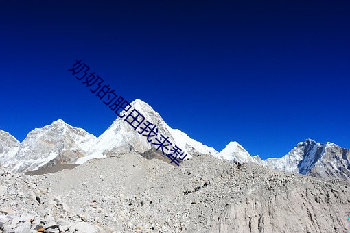 奶(nǎi)奶(nǎi)的肥田我来犁(l��)