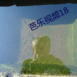 芭乐视频18 （莫非）