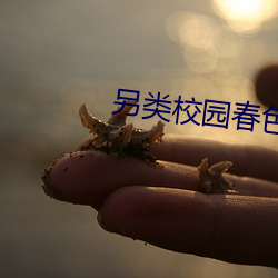 918博天堂·(中国)手机版客户端