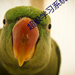 超級學習系統