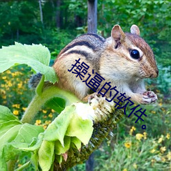 尊龙凯时·(中国)官方网站