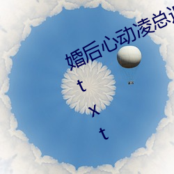 婚(婚)后心动凌总追妻有点甜蒋琛魏(魏)清(清)宁(甯)txt