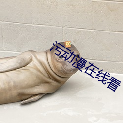 AG真人平台(中国)官方网站