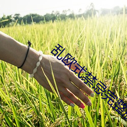 金年会(中国)官方网站