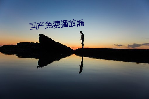 國産免費播放器
