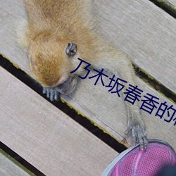 尊龙凯时·(中国)官方网站
