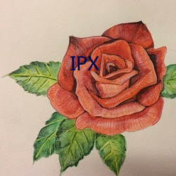 IPX