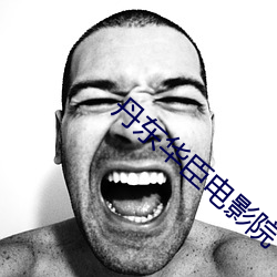 丹(dān)东华臣(chén)电(diàn)影(yǐng)院(yuàn)