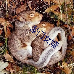 豪门女婿