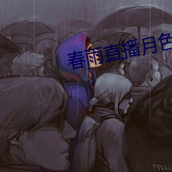 春雨直播月色直播