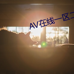 AV在线一区二区天堂