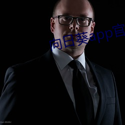 向日葵app官网最新版(版)本下