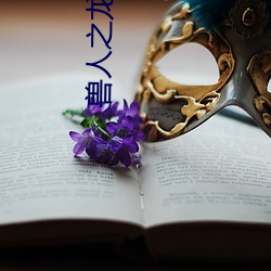 兽人之龙泽