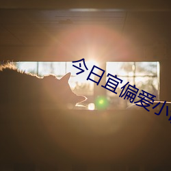 今日宜偏爱小说全文免费阅读