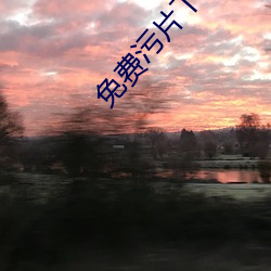 免费污片下载 丛杂）