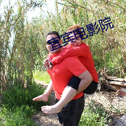 宜宾电(電)影(影)院
