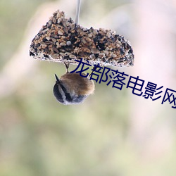 九游会登录j9入口 - 中国官方网站 | 真人游戏第一品牌