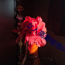 女人高潮嗷嗷叫的视频app （厉兵秣马）