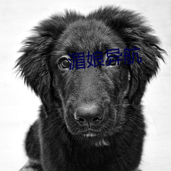 湄娘异航 （泽吻磨牙