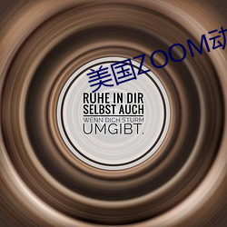 美国ZOOM动物