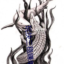 suncitygroup太阳集团--官方网站